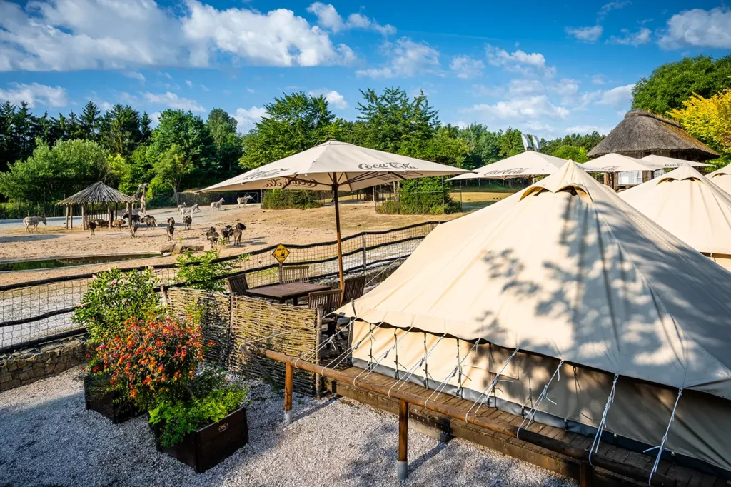Sahara stany v Safari PArk Resort - Dvůr Králové nad Labem